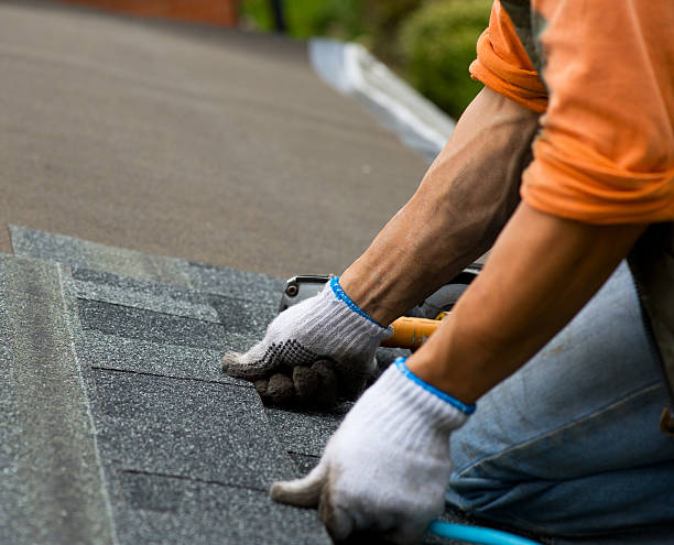 Best Roof Waterproofing Services  in Stanley, WI